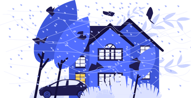 Losses to Hurricanes - facts.png