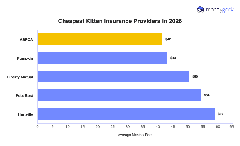 Cheapest Senior Cat Insurance Chart
