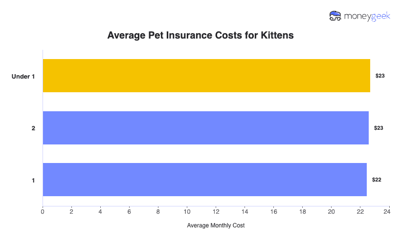 Average Pet Insurance Costs for Kittens Chart