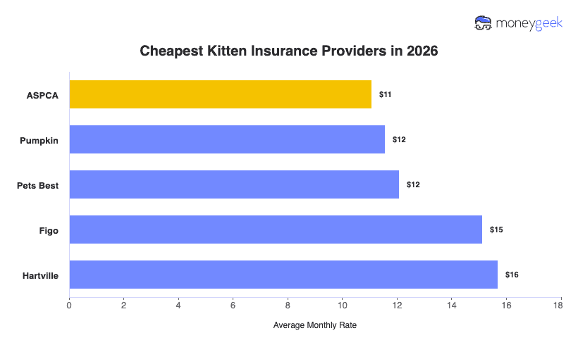 Cheapest Kitten Insurance Chart